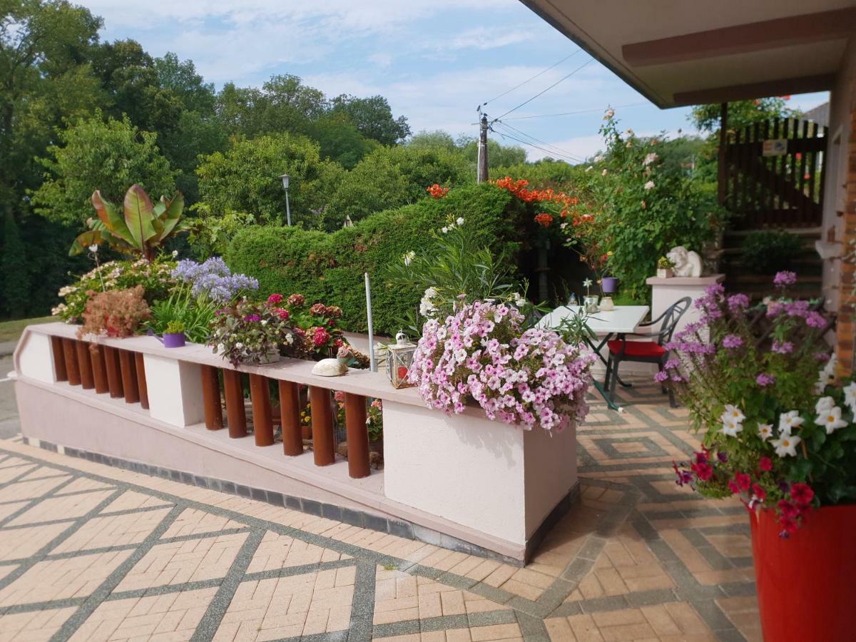 Au Repos Des Remparts Apartment วิสซ็องบูร์ ภายนอก รูปภาพ